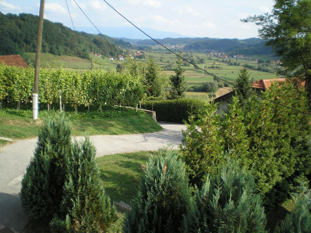 Apartments Country House Stipica Tuheljske Toplice Extérieur photo